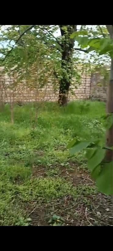 qalada torpaq satışı: Tikinti — 3