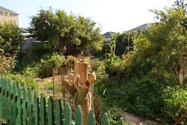 qutqaşınlı küçəsi: 6 otaqlı, 300 kv. m, Orta təmir — 10