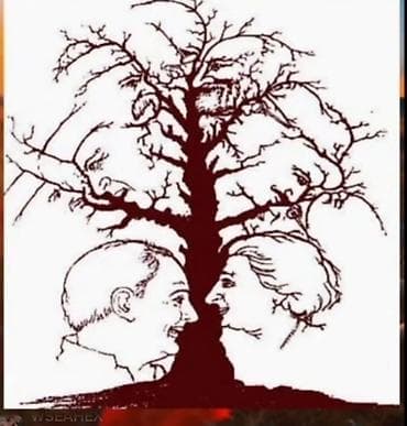 Aşpaz işi axtariram