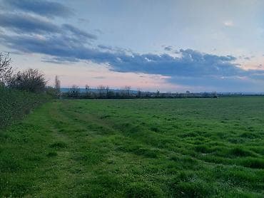 lalafo.az quba: Kənd təsərrüfatı — 2