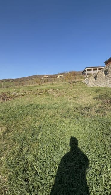 lenkeran kiraye villa: 14 sot, Tikinti, Mülkiyyətçi, Kupça (Çıxarış) — 7