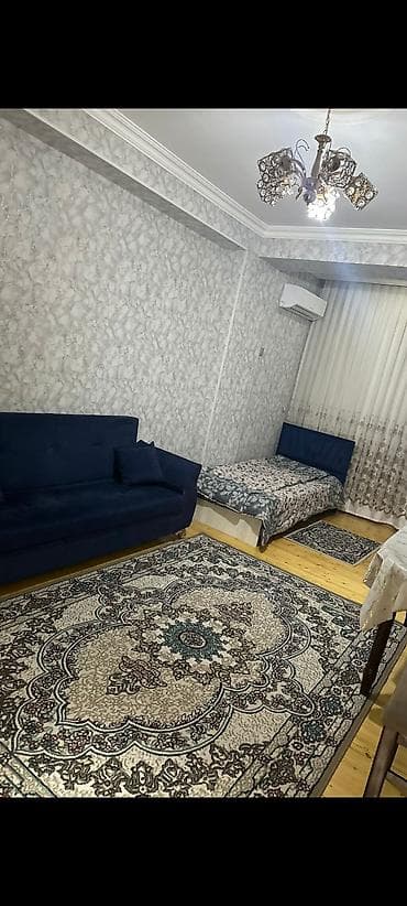 mini evlər: Ev aff parkda xırdalanda yerləşir ancaq xanıma verilir — 9