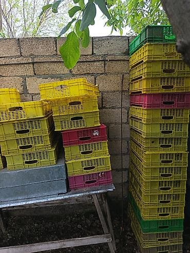 Plastik yığım yeşikləri (kasa) - Rənglər: sarı, yaşıl, çəhrayı