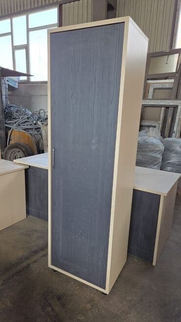 Ofis mebelləri dəsti - 1 qapılı hündür dolab: açılan qapı, metal