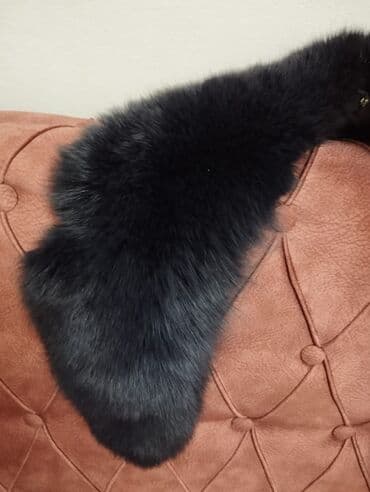 поп ит купить в баку: Varatnik xəz — 3