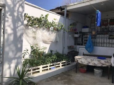 şəkidə həyət evləri: Satılır: həyət evi (təmirli, həyətli sahə) - Plan: girişdə eyvanlı — 6