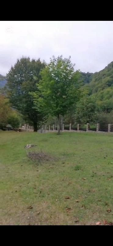 quba a frame evler: Tikinti — 10