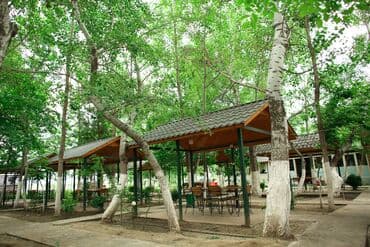 hovuzlu evler baki: Obyekt İstirahət Mərkəzi satılır 1 hektarda Hacıqabul İpək yolu — 7