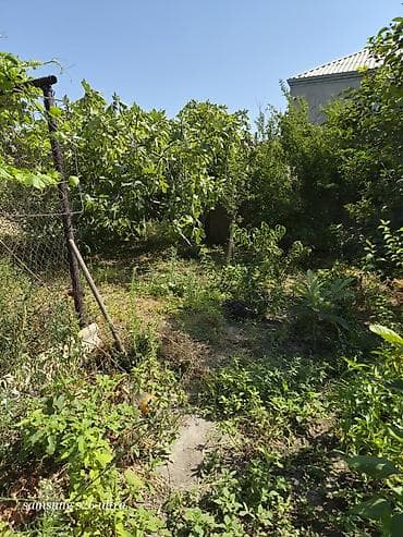 maştağada sot: Həyətyanı torpaq sahesi 4 sot yarimdir sokar poliklinka ilr uzbruz su — 7
