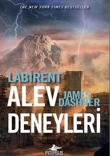 elmin: Məhsul: James Dashner – Labirent seriyası (Pegasus nəşri) - Labirent — 1