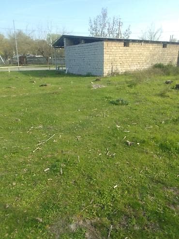 torpa: 10 sot, Tikinti, Kupça (Çıxarış) — 3