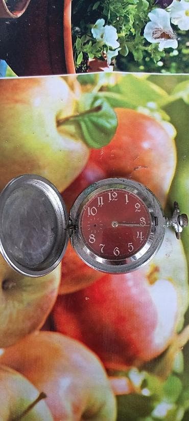 Ovçuluq və balıqçılıq: Məhsul: Mexaniki cib saatı Xüsusiyyətlər: - Korpus: metal, qapaqlı — 1