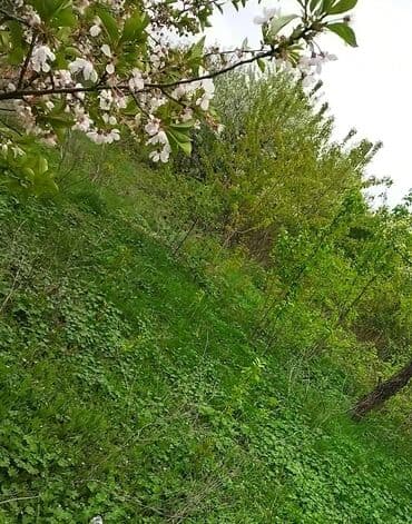 lenkeran torpaq satilir: Quba Qusar yolunun üstünde yerlewir. 12sot torpaq sahesi satilir — 5