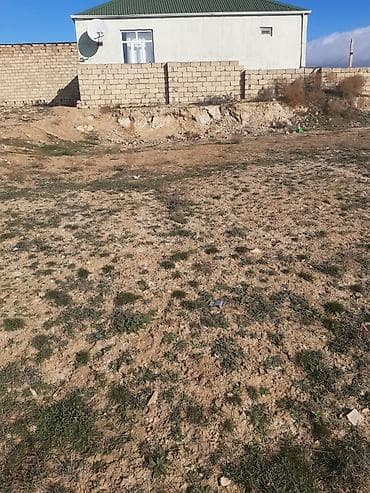 şeki: Tikinti, Kupça (Çıxarış) — 4