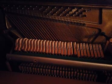 rönisch piano: Пианино, Rönisch, Акустический — 5