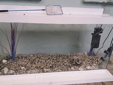Dördbucaq akvarium, Boş, 115 l, Ödənişli çatdırılma, Ünvandan götürmə
