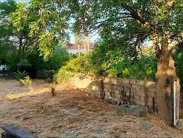 ecemide heyet evleri: 4 sot, Tikinti, Mülkiyyətçi, Kupça (Çıxarış) — 2