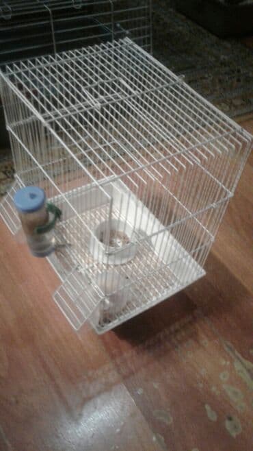 сколько стоят кошки: Shekilleri cevirin Xamyak ucun qefes satilir qiymeti 25 azn 3 eded — 29