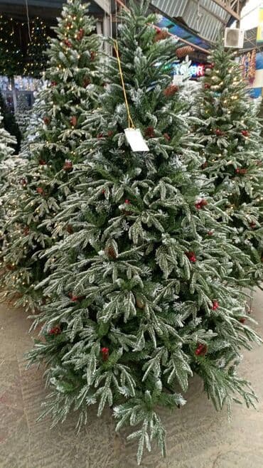 Yeni il yolkalari geldi/ Hər cur cesidler var her olcude var etrafli