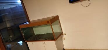 Balıqlar: Dördbucaq akvarium, Boş, 300 l — 2