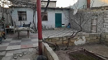 bineqedide torpag: 7 sot, Tikinti, Mülkiyyətçi, Kupça (Çıxarış) — 6