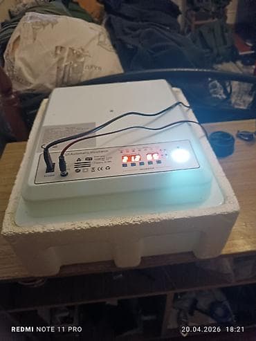 plak satışı: Çin, Tam avtomat — 5