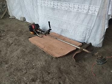 tuya ağacı azerbaycan dilinde: Ideal vəziyətdə işlək drujba və ot biçən.2 si bir yerdə 105 azn — 2