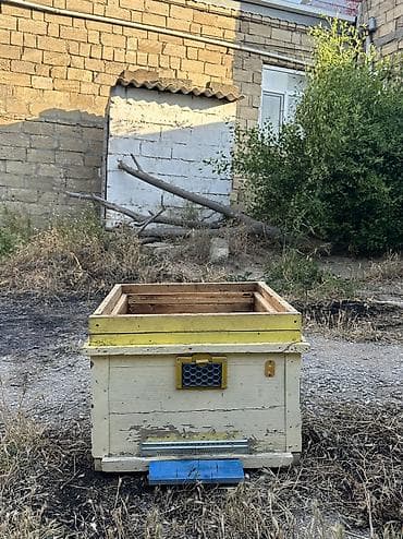 Arılar: Arı yeşikləri satılır 🐝 Şəkildə görünən tipdə arıçılıq üçün yararlı — 10