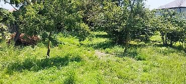 10 sot, Kənd təsərrüfatı, Mülkiyyətçi, Kupça (Çıxarış)
