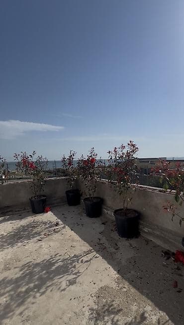 kiraye ev 150: Hövsan qəs. 5 otaqlı, 200 kv. m, Kredit yoxdur, Təmirsiz — 8