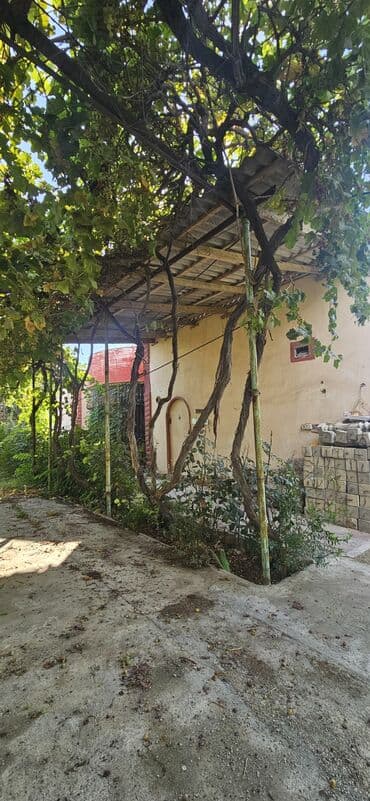 аренда продажа земельных участков: 48 sot, Kənd təsərrüfatı, Kupça (Çıxarış) — 21