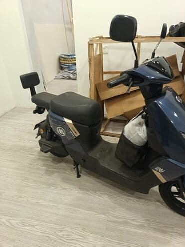 elekdirikli sukutur: - AIMA, 2024 il — 8