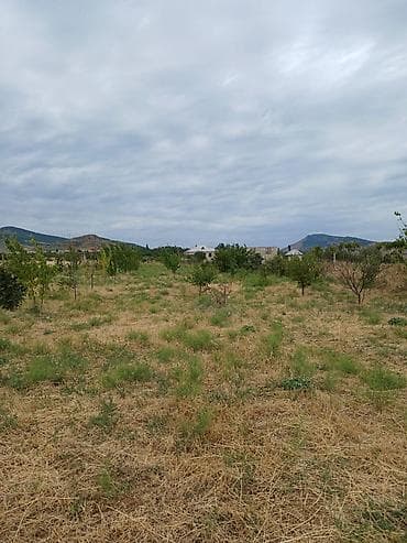 Земельные участки: 20 соток, Для сельского хозяйства, Купчая — 2