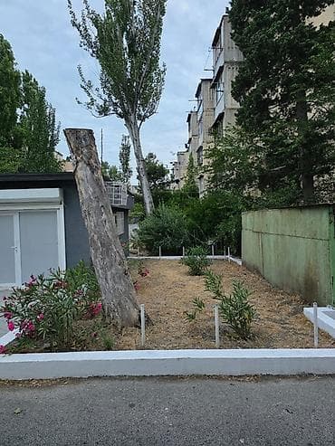 agdas emlak: Kirayə üçün ayrıca tikili – ofis/kiçik obyekt - Ayrıdayan — 3