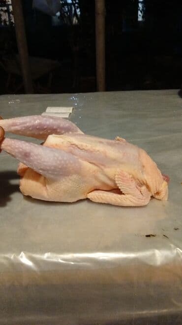 barraker qayçı nedir: Ev toyuğu – təmizlənmiş, bütöv - Təsvir: Şəkillərdə gördüyünüz kimi — 1