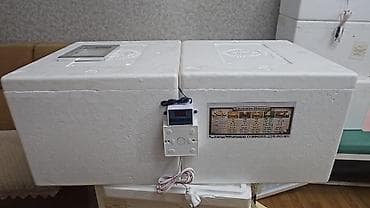 100 yumurta, Azərbaycan, Zəmanət ilə, Bütün növ quşlaq üçün, Azərbaycan dilində təlimat — 6