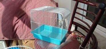 sumqayit qəfəs: Qi̇ymət sondu !!! — 1