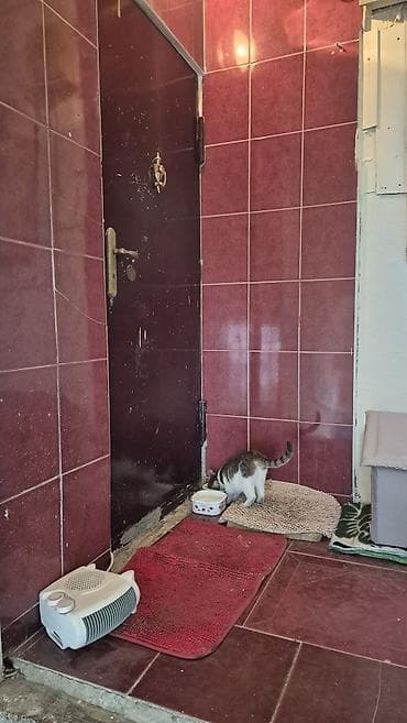 tecili ucuz ev satilir: Bakı, 5-ci mikrorayon, 3 otaqlı, Köhnə tikili, m. Memar Əcəmi, 65 kv. m — 1