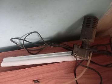 Gəmiricilər: Akvaryum dəsti - Şüşə akvaryum: düzbucaqlı forma, ön/yan divarlar — 2