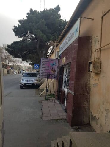 dirnaq salonu: 4 otaqlı, 250 kv. m — 8