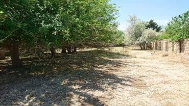 sulutəpə çiçək qəsəbəsi: 12 sot, Tikinti, Makler, Kupça (Çıxarış) — 15