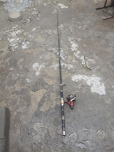 ovcular evi: Bir dene balig tutan unvan Bileceri — 3