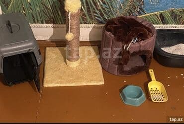 купить домик для кота: Paket şəklində pişik üçün tam aksesuar dəsti. Dəstərin tərkibi: - — 2