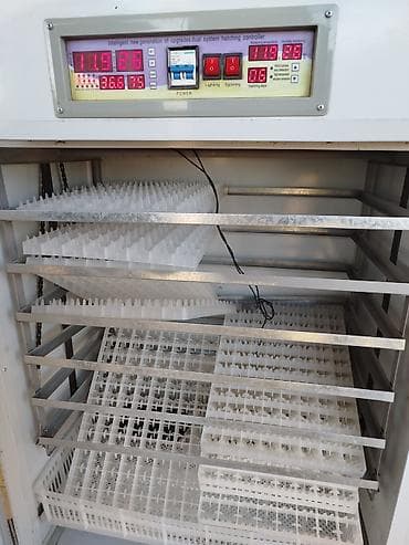 Konteynerlər: Tam avtomat — 3