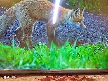 82 televizor: Shivaki WebOS TV SMART (YOUTUBE,NETFLIX.) — 2