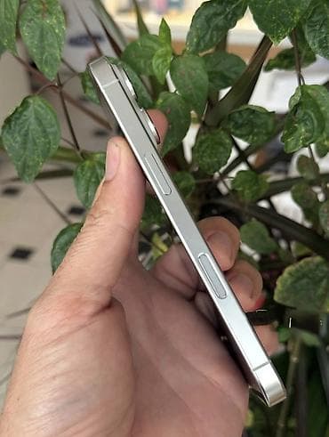 pro h26 white qiymeti: IPhone 16 Pro, 256 GB, Ağ — 2