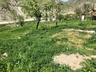 yeni əmlak sumqayıt: 30 sot, Kənd təsərrüfatı, Mülkiyyətçi, Kupça (Çıxarış) — 16