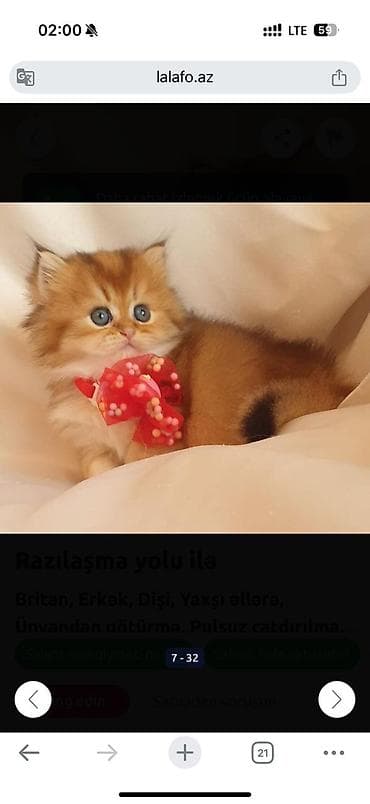 elektrik yuvası: Britan — 9