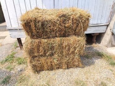 inək südsağan aparat: Məhsul: Bağlamalı quru ot (yonca qarışığı) Təsvir: - Düzbucaqlı pres — 2