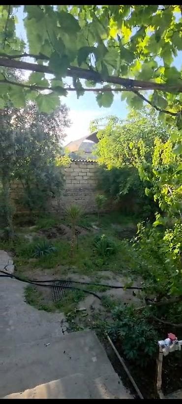 bag evi: Gəncə şəh Vaqifin artizanı olan küçədə asfalt yoldan 50 metr — 3